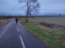 Savigny Bourg